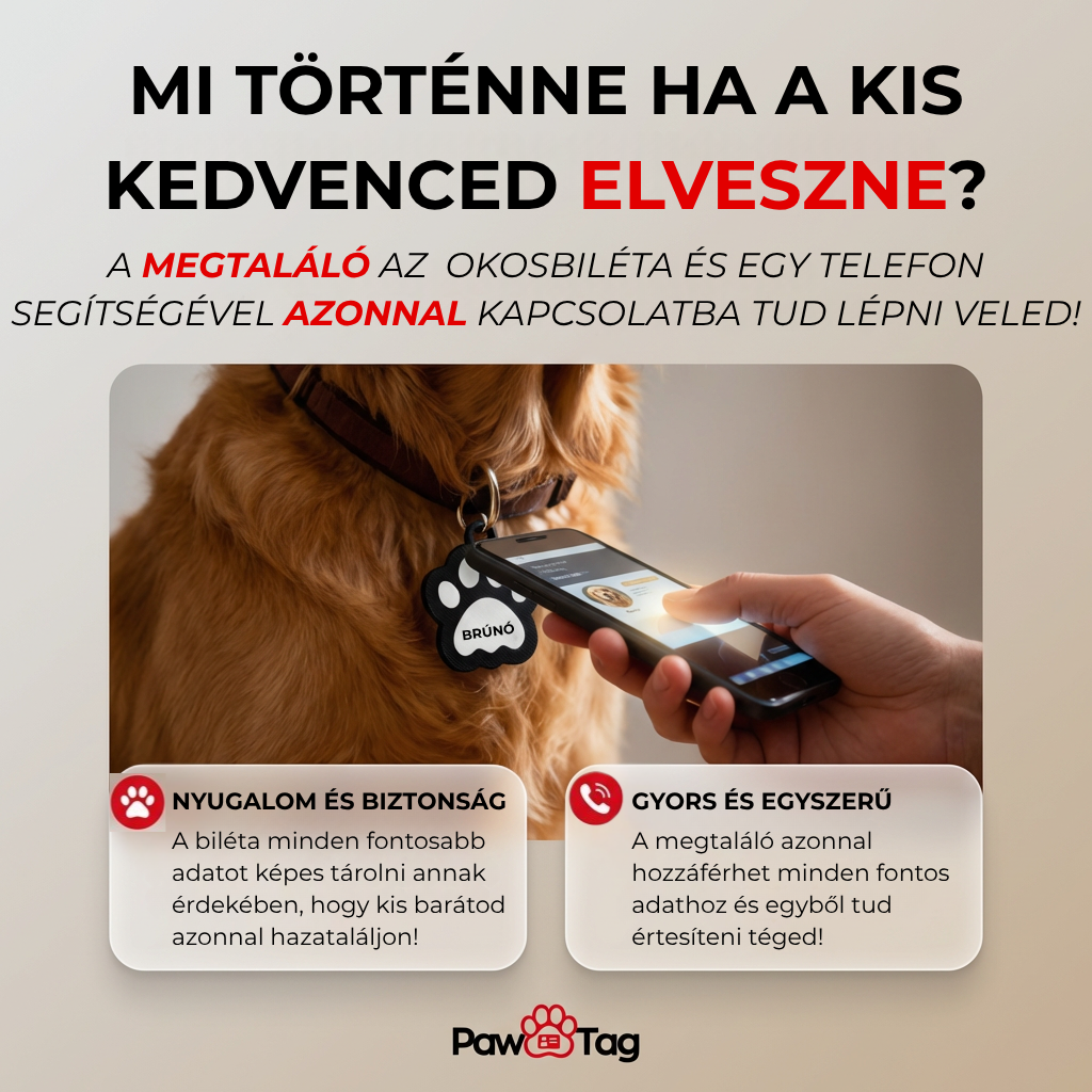 NFC okosbiléta